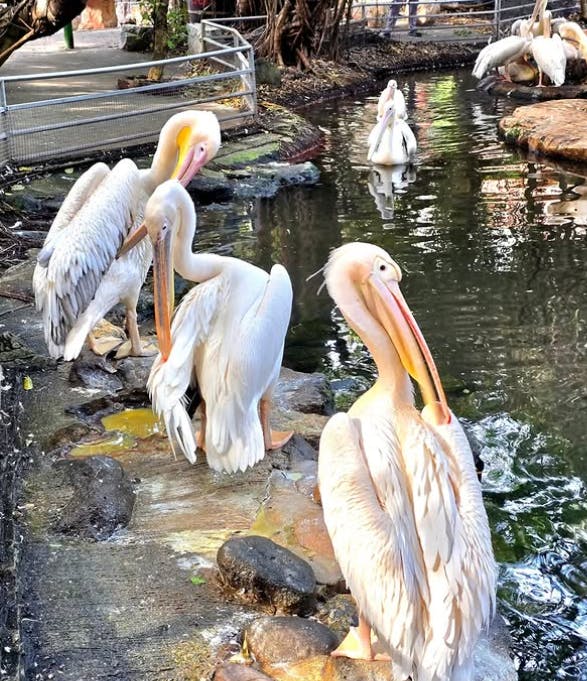 Safari World Bangkok